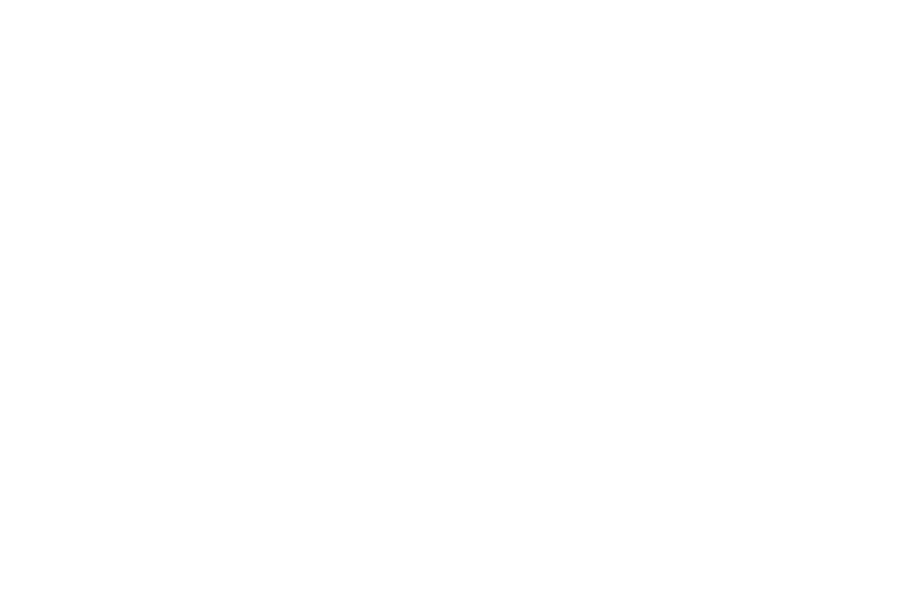 The Nido Collection Logo 2 Lines White