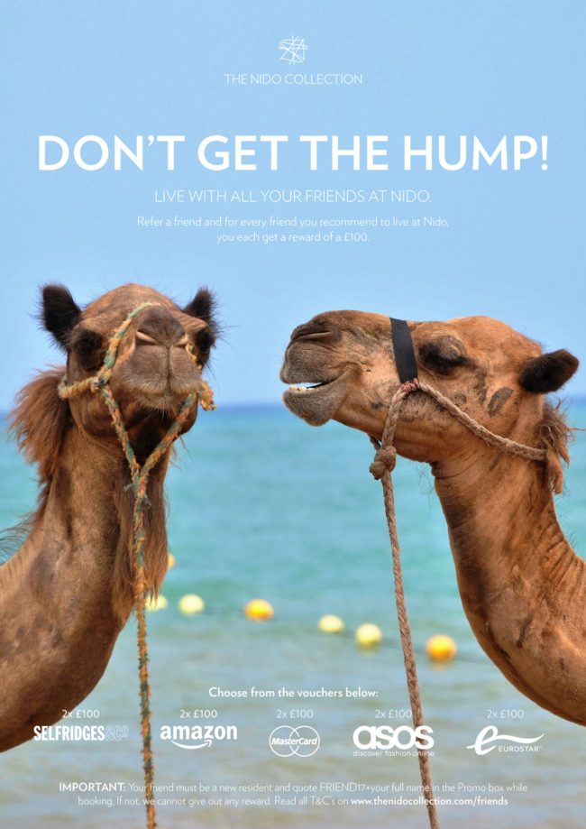 Friend referral poster with camels for The Nido Collection