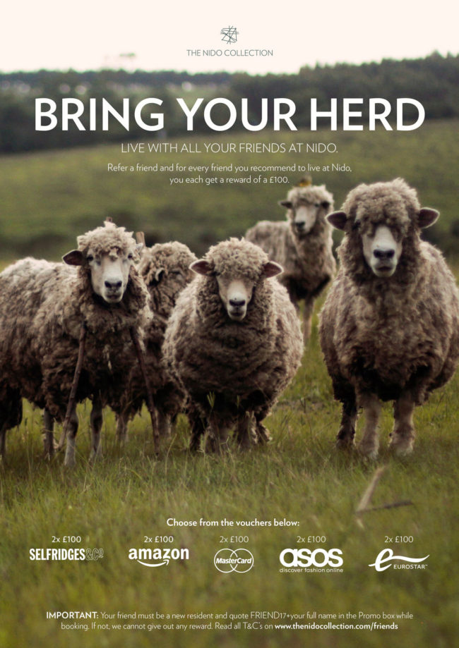 Friend referral poster with sheeps for The Nido Collection